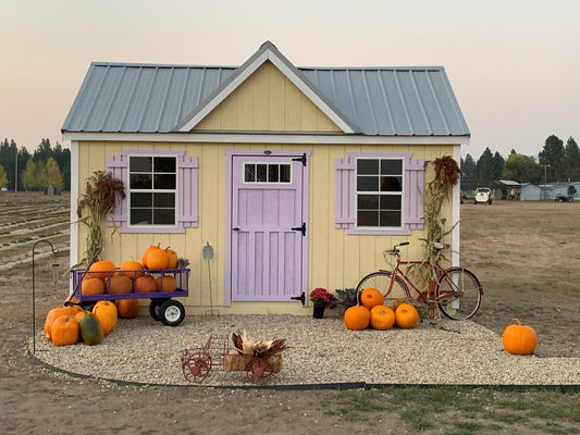 Pumpkins in front of yellow shed with purple door in lavender field.