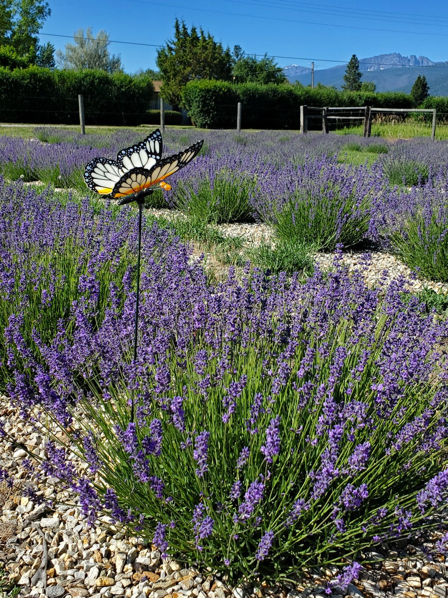 Lavender Spray - Calming - Natural Sleep Spray - Pillow Partner