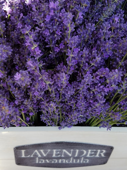 Dried Lavender Bundle - Organic - Fragrant - Decorative