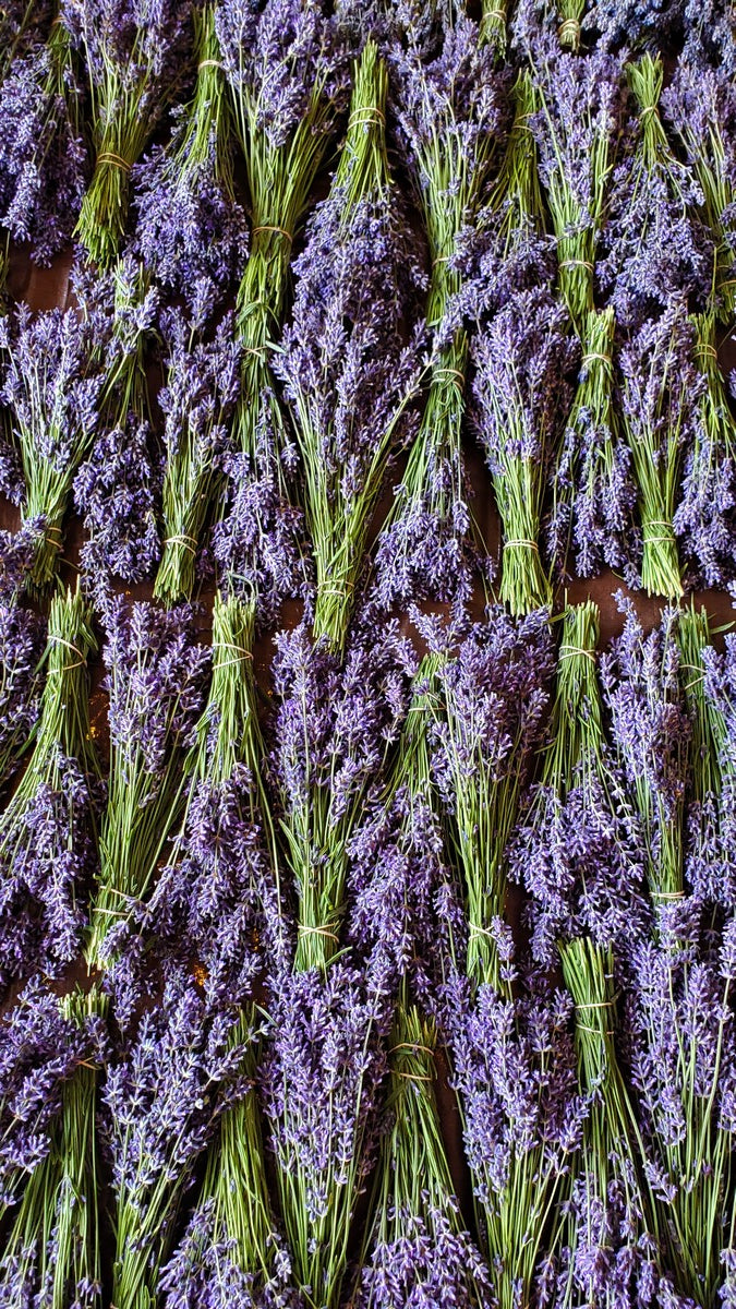Dried Lavender Bundle - Organic - Fragrant - Decorative